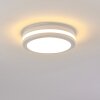 Wollongong outdoor ceiling light LED white, 1-light source