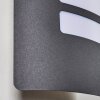 Outdoor Wall Light Alslev anthracite, 1-light source, Motion sensor