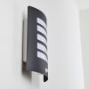 Outdoor Wall Light Alslev anthracite, 1-light source, Motion sensor