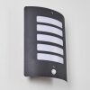 Outdoor Wall Light Alslev anthracite, 1-light source, Motion sensor
