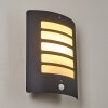 Outdoor Wall Light Alslev anthracite, 1-light source, Motion sensor