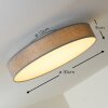 Victoria ceiling light LED white, 1-light source