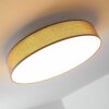 Victoria ceiling light LED white, 1-light source