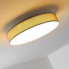 Victoria ceiling light LED white, 1-light source