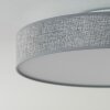 Victoria ceiling light LED white, 1-light source