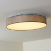 Victoria ceiling light LED white, 1-light source