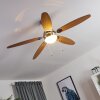VALERIA ceiling fan chrome, Light wood, matt nickel, 1-light source