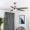 VALERIA ceiling fan chrome, Light wood, matt nickel, 1-light source