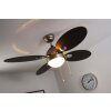 Globo WADE fan stainless steel, matt nickel, 1-light source