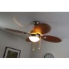 Globo WADE fan stainless steel, matt nickel, 1-light source