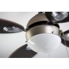Globo WADE fan stainless steel, matt nickel, 1-light source