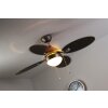 Globo WADE fan stainless steel, matt nickel, 1-light source