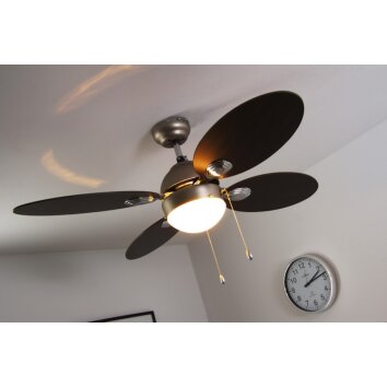 Globo WADE fan stainless steel, matt nickel, 1-light source
