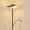 Floor Lamp Lasona LED brown, silver, 2-light sources