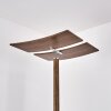 Floor Lamp Lasona LED brown, silver, 2-light sources