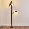 Floor Lamp Lasona LED brown, silver, 2-light sources