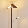 Floor Lamp Lasona LED brown, silver, 2-light sources