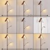 Floor Lamp Lasona LED brown, silver, 2-light sources