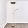 Floor Lamp Lasona LED brown, silver, 2-light sources
