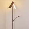 Floor Lamp Lasona LED brown, silver, 2-light sources