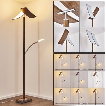 Floor Lamp Lasona LED brown, silver, 2-light sources