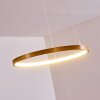 Canisteo Pendant Light LED gold, 1-light source