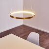 Canisteo Pendant Light LED gold, 1-light source