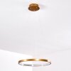Canisteo Pendant Light LED gold, 1-light source