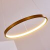 Canisteo Pendant Light LED gold, 1-light source