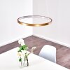 Canisteo Pendant Light LED gold, 1-light source
