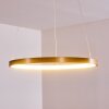 Canisteo Pendant Light LED gold, 1-light source