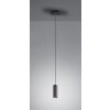 Trio Leuchten MARLEY Pendant Light black, 1-light source