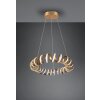 Trio CURL Pendant Light LED gold, 1-light source