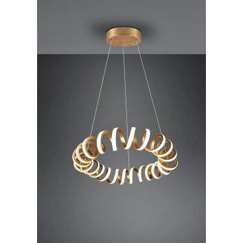 Trio CURL Pendant Light LED gold, 1-light source