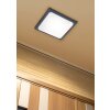 Trio TRAVE Ceiling light LED anthracite, 1-light source