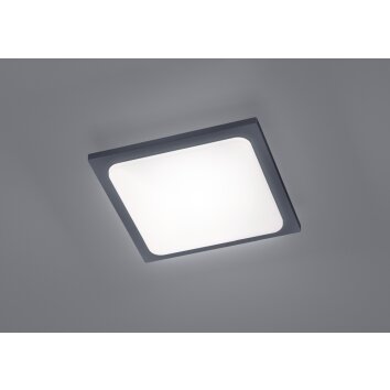 Trio TRAVE Ceiling light LED anthracite, 1-light source