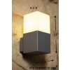 Trio HUDSON outdoor wall light stainless steel, 1-light source