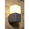 Trio HUDSON outdoor wall light stainless steel, 1-light source
