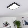 KRAGOS Ceiling Light LED black, white, 1-light source