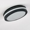 Wollongong outdoor ceiling light LED anthracite, 1-light source