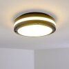 Wollongong outdoor ceiling light LED anthracite, 1-light source