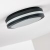 Wollongong outdoor ceiling light LED anthracite, 1-light source