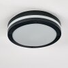 Wollongong outdoor ceiling light LED anthracite, 1-light source