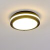 Wollongong outdoor ceiling light LED anthracite, 1-light source
