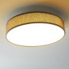 Victoria ceiling light LED white, 1-light source