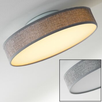 Victoria ceiling light LED white, 1-light source