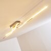 JAMJO ceiling light LED matt nickel, 1-light source