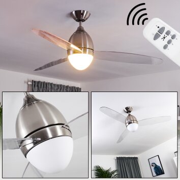 VARAZZE ceiling fan matt nickel, transparent, clear, 1-light source, Remote control