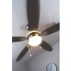 Globo AZURA fan matt nickel, 1-light source