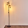 Barbengo Floor Lamp brown, black, 2-light sources